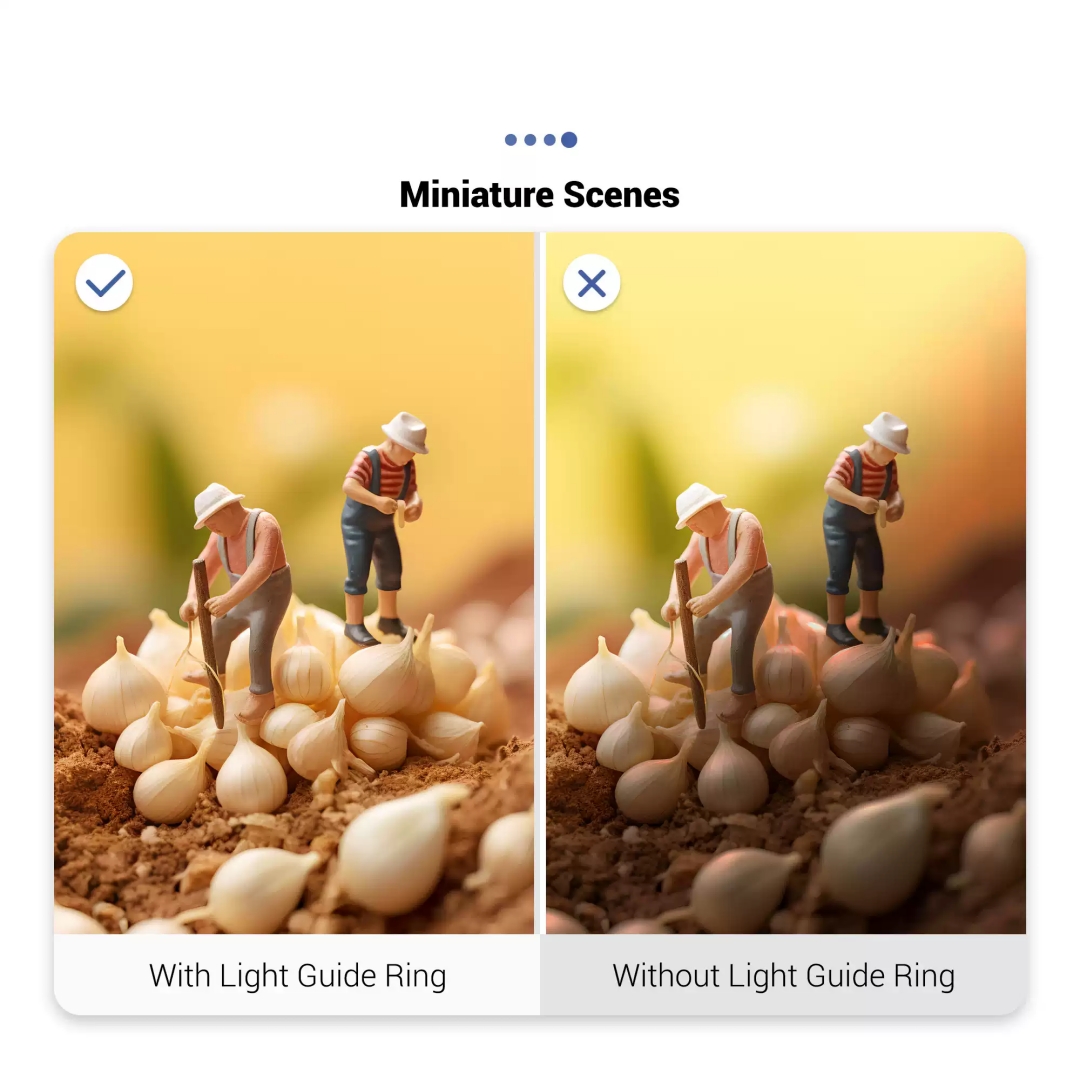 حلقة توجيه الضوء LED مع موزع ض - مراجعة Photography Lighting Guides وسعره